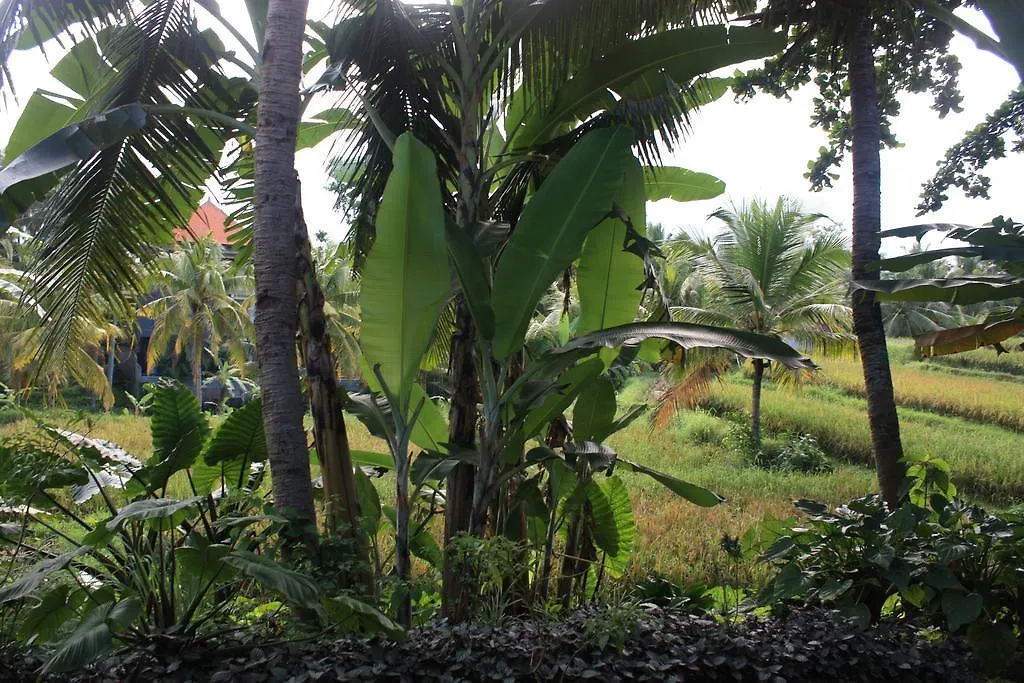 Wonder-Land Villa Ubud Vendégház